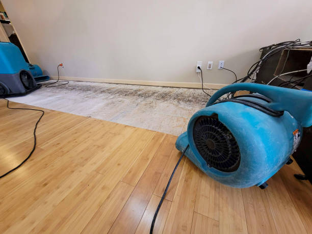 Professional Burst Pipe Water Damage technician working in Brandon, WI
